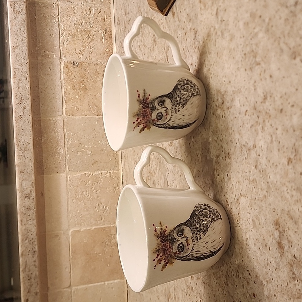 Christmas Owl Mistletoe curved Porcelin Mug, Set of 2***